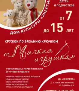 Подробнее о статье Набор в кружок по вязанию крючком «Мягкая игрушка»